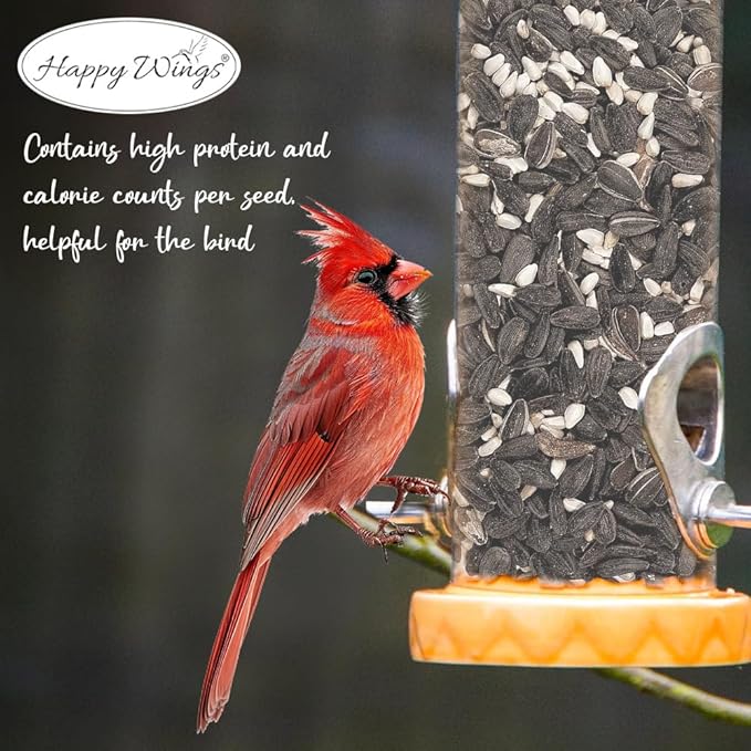 Happy Wings Cardinal Blend Bird Food, Mix of Sunflower and Safflower Seed, 5 Pounds | No Grow Seed | Bird Food for Wild Birds