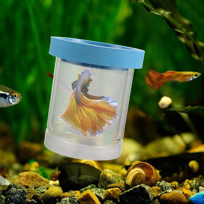 jojofuny 2pcs Floating Fish Tank Breeding Isolation Box Plastic Incubator Separator for Aquarium Guppy Fry Hatching and Betta Fish Breeder