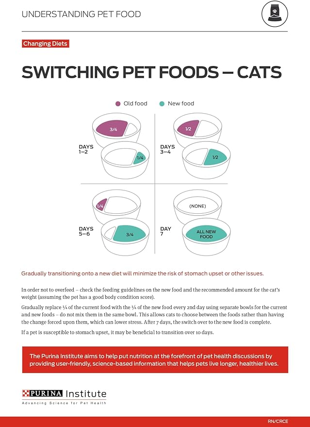 Purina ONE Sensitive Stomach, Sensitive Skin, Natural Dry Cat Food, +Plus Sensitive Skin and Stomach Formula - 3.5 Lb. Bag