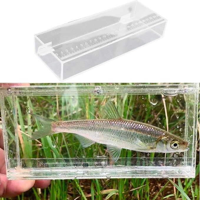 Fishing Photo Tank Fish Isolation Box Acrylic Aquarium Transparent Hatching Incubator Case, 25x4.4x9cm