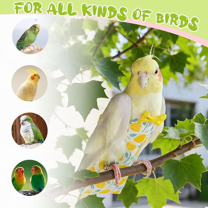 Bird Diaper Flight Suit, 3-Packs Lightweight Reusable Washable Elastic-Straps Parrot Clothes for Peony/Monk Parakeet, Prevents Poop Leaks & Feather Pecking (Bow+Lemon+Cherry, L)