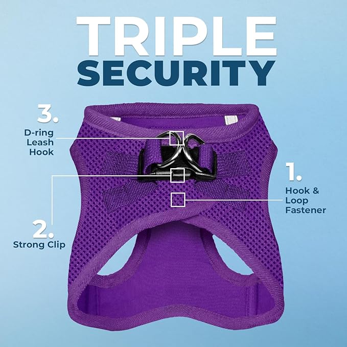 Best Pet Supplies Voyager Step-in Air Harness - All Weather Mesh, Reflective, No Pull Harness for Dogs, Cats - Secure with Hook & Loop Fastener, Buckle, Double D-Rings - Purple, L
