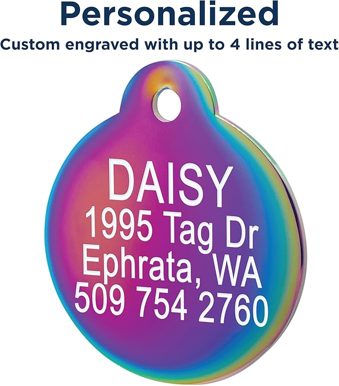 GoTags Personalized Small Indoor Cat Tag - Engraved with 4 Lines of Custom ID, Black Stainless Steel Round Pet ID Tag