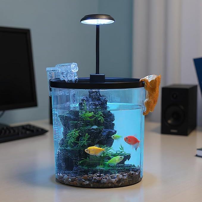1.5 Gallon Small Fish Tank with Filter & LED Light, Desktop Aquarium Kit with Oxygen Pump & Decor, All-in-One Ecosystem Fish Bowl for Betta, Goldfish, Office, Home Decor