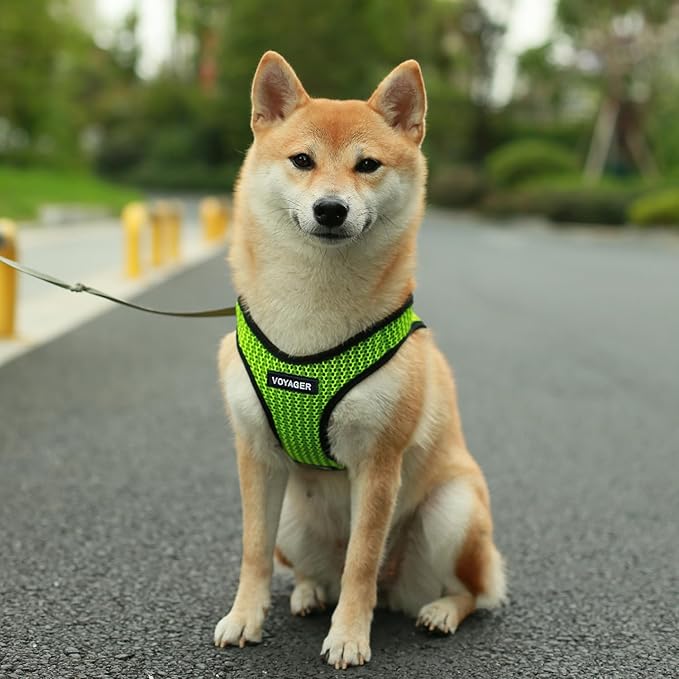 Best Pet Supplies Voyager Step-in Air Harness - All Weather Mesh, Reflective, No Pull Harness for Dogs, Cats - Secure with Hook & Loop Fastener, Buckle, Double D-Rings - Lime Green 2-Tone, L