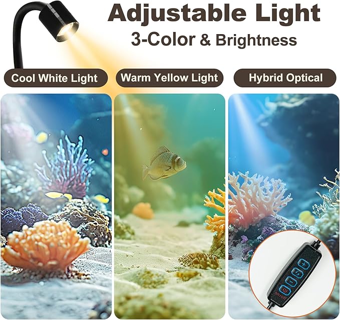 DIY Aquarium Masterpiece Kit - Create Your Own Unique Ocean Aquascape with Natural Shells, Vibrant Corals, RGB Color Lights, Filter, Pump and 1.2Gal Cube Rimless Tank