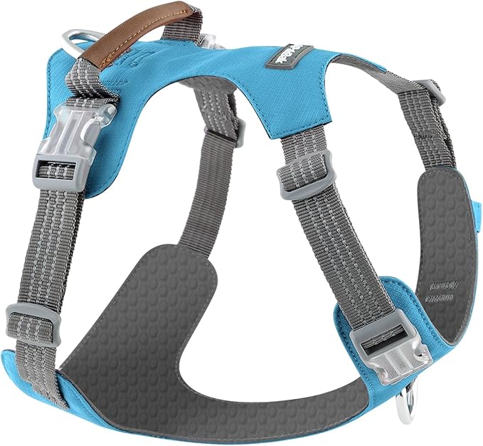 No Pull Dog Harness – Adjustable Reflective Nylon Vest for Small Medium Large Dogs, Escape Proof Training Harness with Leather Control Handle, Lightweight Aluminum Hardware (Cyan, M)