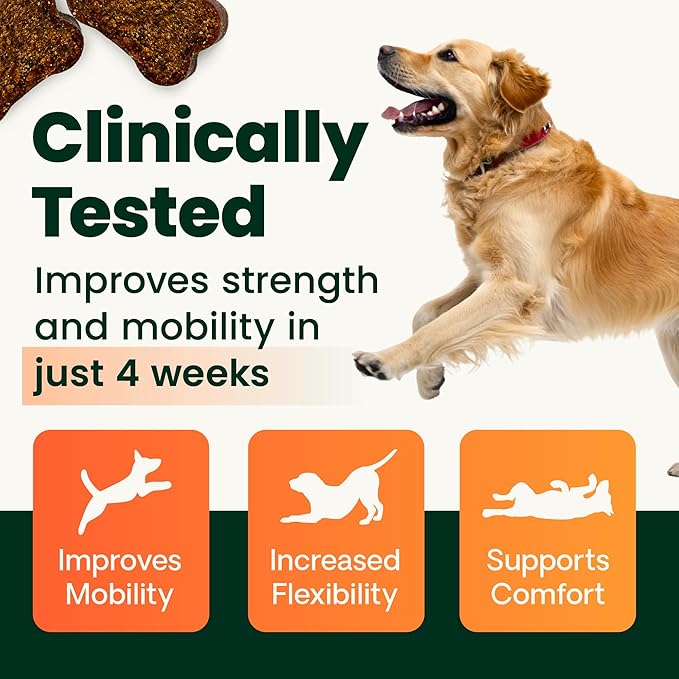 VetriScience Extra Strength Healthy Hip & Joint Chews, GlycoFlex Glucosamine and Green-Lipped Mussel Joint Support Supplement for Dogs, Promote Mobility & Soothe Joint Discomfort, Chicken, 60 Count