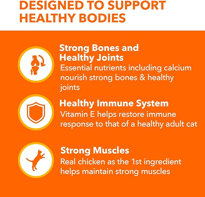 IAMS Proactive Health Senior Dry Cat Food, Cat Food Dry Chicken Recipe, Real Chicken in Every Bite, 7 lb. Bag
