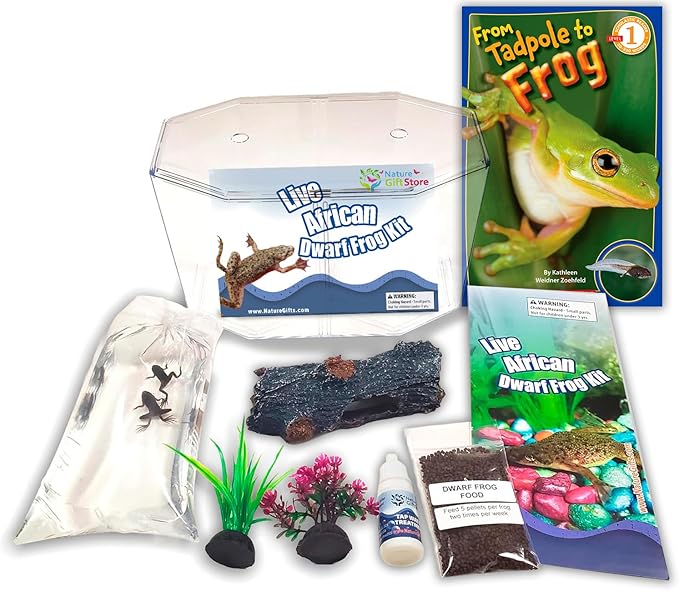African Dwarf Frog Starter Kit- Includes Certificate for 2 Live Frogs- All-in-One Bundle with Book, Small Aquarium, Food, Instructions Now