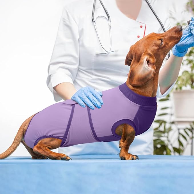 Kuoser Recovery Suit for Dogs After Surgery, Soft Dog Surgery Suit Female Male, Breathable Pet Surgical Recovery Shirt, Anti Licking Dog Onesie for Abdominal Wounds Cone Alternatives, Purple M