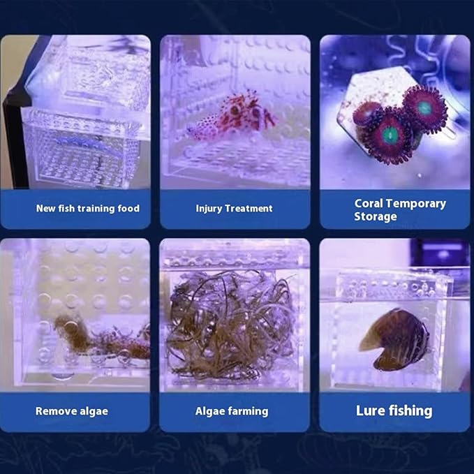 Generic Acrylic Fish Breeding Box, Magnetic Fish Isolation Box for Aquarium Hatchery Incubator Tank for Baby Fishes Shrimp Clownfish Guppy