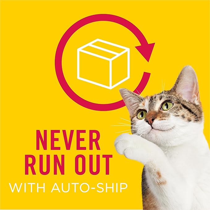 Purina Friskies Shreds With Beef in Gravy Wet Cat Food - (Pack of 24) 5.5 oz. Cans