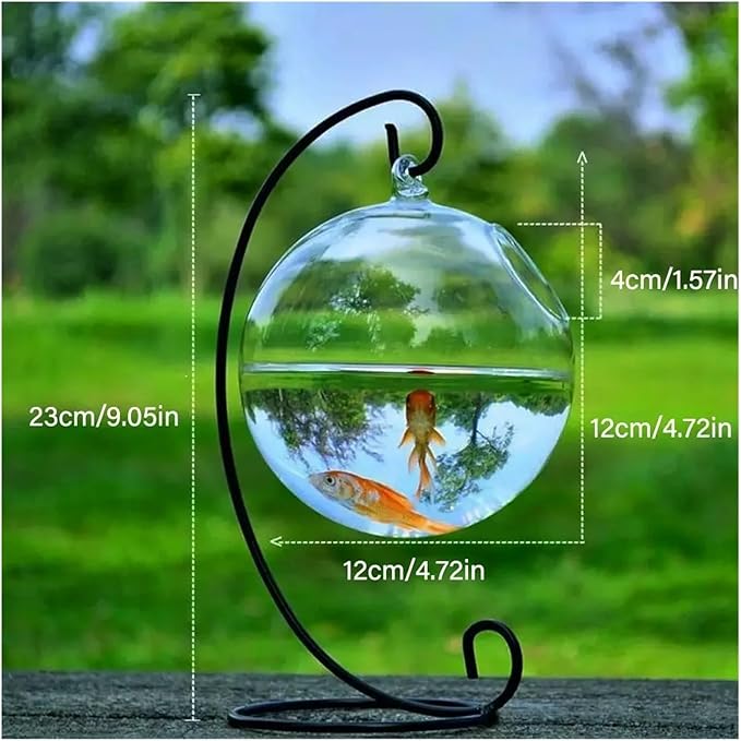 Transparent Hanging Glass Aquarium Fish Tank Bowl - Stylish Round/Rectangle Shape with Rack Holder for Home Decoration(Black-01)