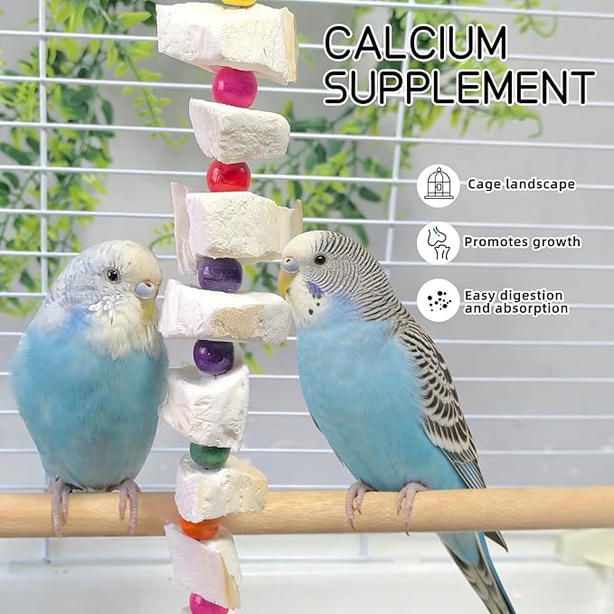 2 Pack Bird Toys, Parakeet Toys with Cuttlebone, Natural Cuttle Bone Bird Beak Grinding Stone & Parrot Chew Cuttlebone Cage Accessories with Bell for Budgie, Conure, Lovebird- 8 Pieces