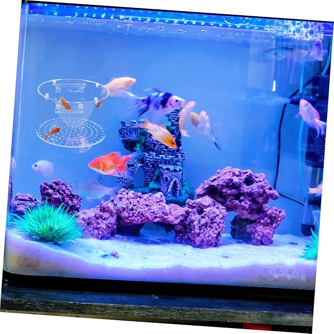POPETPOP Fish Breeding Box Isolation Tank for Fish Hatching Easy to Clean Aquarium Divider for Safe Breeding Enhanced Survival Rate Transparent