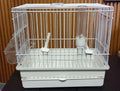 I064B All White Song Bird CAGE