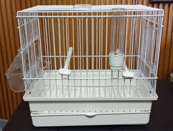 I064B All White Song Bird CAGE