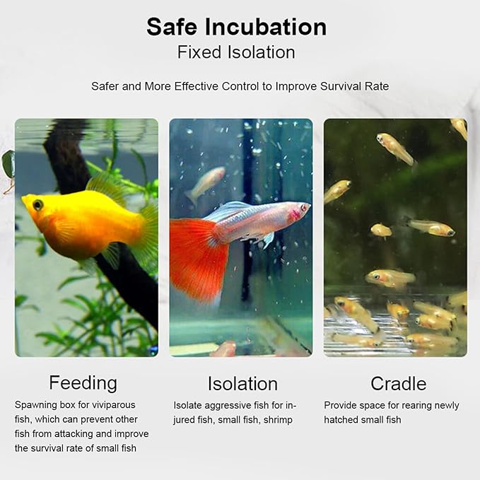 Fish Breeding Box, Acrylic Transparent Fish Tank Breeding Isolation Box Aquarium Hatchery Incubator Holder Fish Separation Breeder Box, with Hook and Sucker Design (30CM*10CM*10CM)