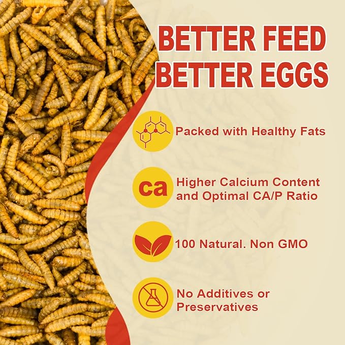 5.5LB Dried Black Solider Fly Larvae, BSFL is High Protein Chicken Feed with 85x More Calcium Than Dried Mealworms, Poultry Treats, Chickens Love, Birds Love, Hens Love, Ducks Love