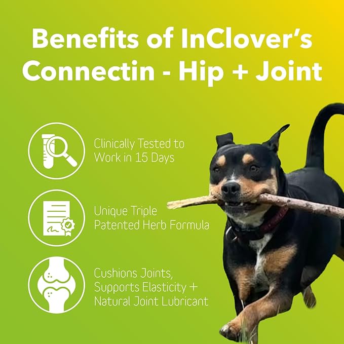 InClover Connectin Natural Hip & Joint Supplement for Dogs with Glucosamine, Chondroitin & Hyaluronic Acid - Soft Chew for Dog Mobility, Comfort & Active Lifestyle Support, 100 Count