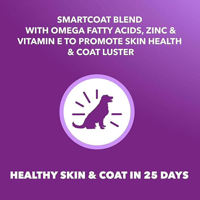 IAMS Advanced Health Skin & Coat Dry Dog Food, Adult Dog Food Dry Chicken and Salmon Recipe, 13.5 lb. Bag