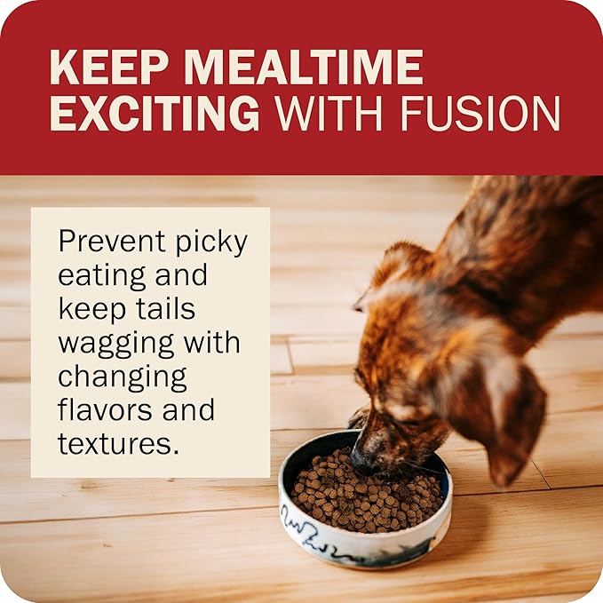 Redbarn Powerfood Fusion Air Dried Kibble Blend – Grain Free Land Beef Lamb Recipe – Made in USA Adult Dry Dog Food with Superfoods, Prebiotics, Postbiotics - 3.5lb Bag