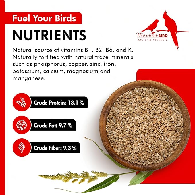 Morning Bird Japanese Millet Seed Bag 4.5 lbs (3-Pack, 1.5 lbs Each) - Healthy & Nutritious Pet Bird Food to Support Health & Immunity – Ideal Bird Feed for All Seed-Eating Birds
