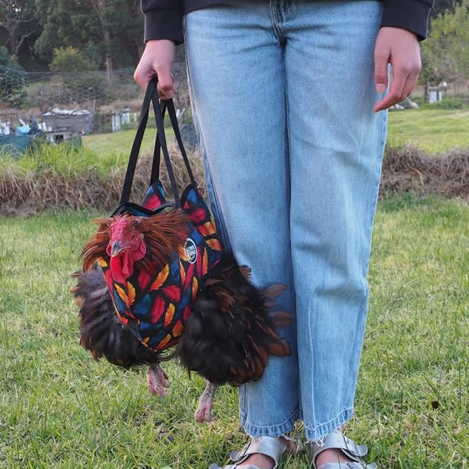 DOWN UNDER OUTDOORS Chicken Carrier Sling Holder Bag with Handle, Chicken Accessories for Foot Treatment, Medic, Leg Injuries, Bumblefoot, Poultry Farm Carrying, Transport, Three Sizes (Large)
