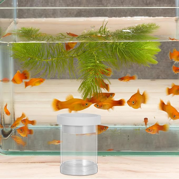 Milisten Fish Breeding Box Floating Incubator Tank Divider with Isolation Net Small White Aquarium Breeder for Guppy and Small Fish Hatchery