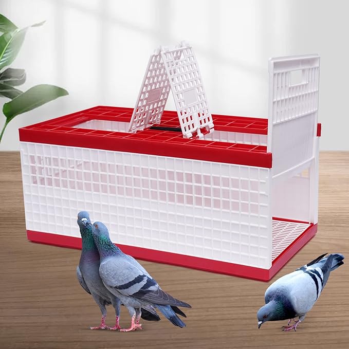 Racing Pigeon Carrier Box Bird Training Basket with 2 Side Doors 2 Top Doors Box