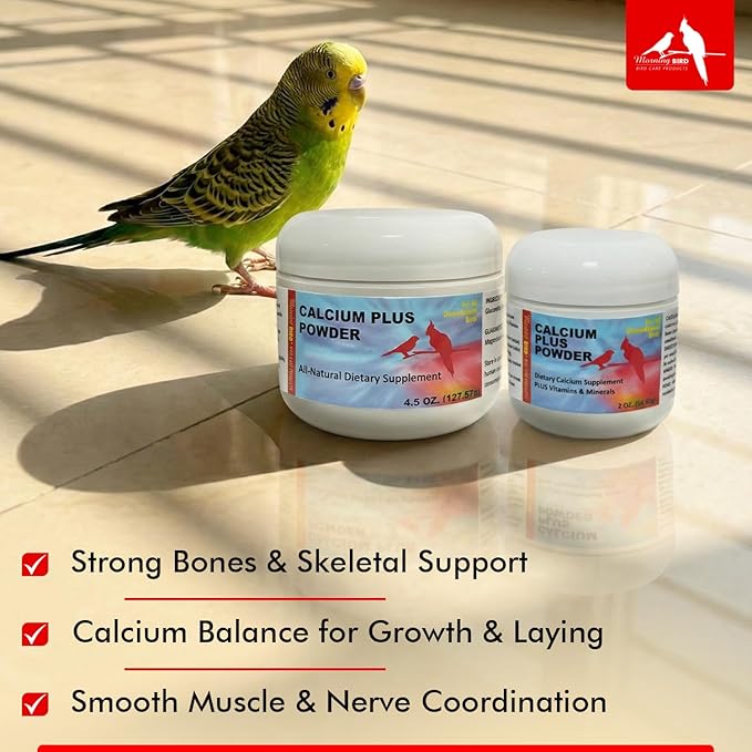 Morning Bird Calcium Plus Powder for Birds 2 oz – Calcium Supplement with Vitamin & Protein Powder – Supports Bone Health, Muscle Function & Digestive Balance – Easy-to-Mix Calcium Formula