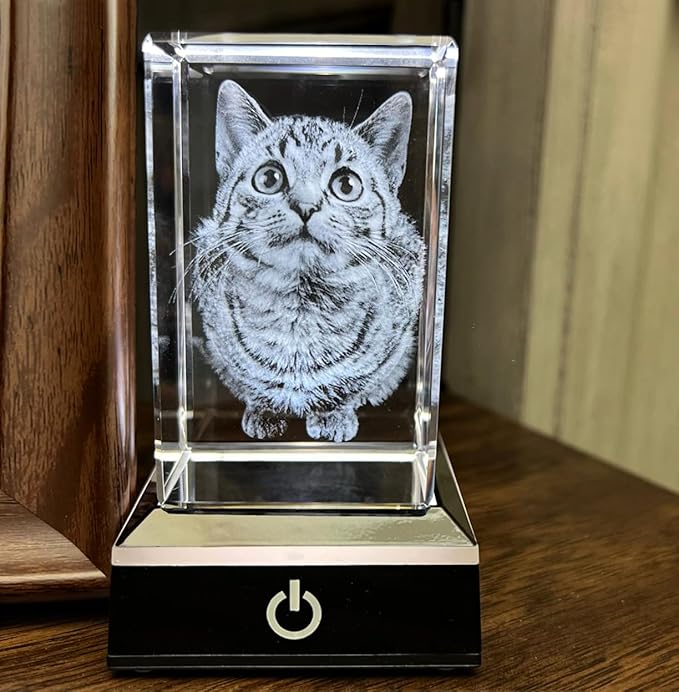 Dog Memorial Gifts for Pet Loss – Personalized Crystal Photo for Dogs & Cats, Custom Laser Etched Crystal (Large Portrait)