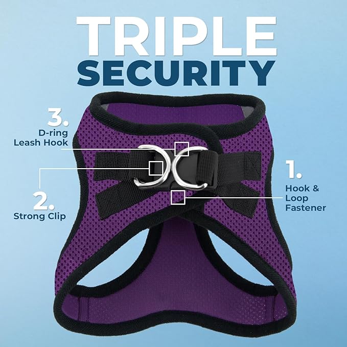 Best Pet Supplies Voyager Step-in Air Harness - All Weather Mesh, Reflective, No Pull Harness for Dogs, Cats - Secure with Hook & Loop Fastener, Buckle, Double D-Rings - Purple/Black Trim, XXXS