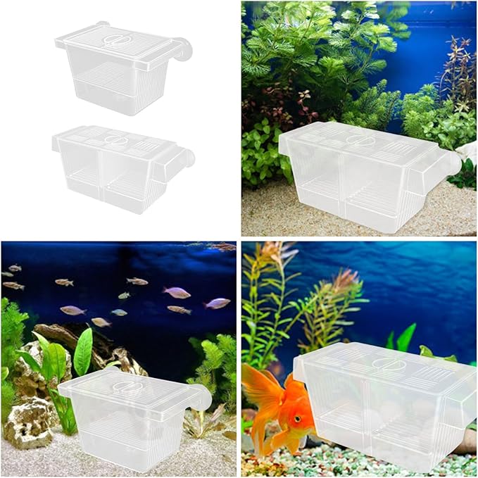 Multiuse Fish Isolation Container Breeding Incubator with Suction Cup 2 Dividers for Aggressive Newborns 2PCS Breeding Tanks