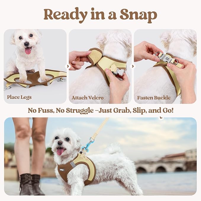 rabbitgoo Dog Harness Small Sized and Leash Set, Step in Soft Light Puppy Vest, Breathable Mesh Pet Harness, Reflective for Safe Easy Walking, Brown & Beige XXS
