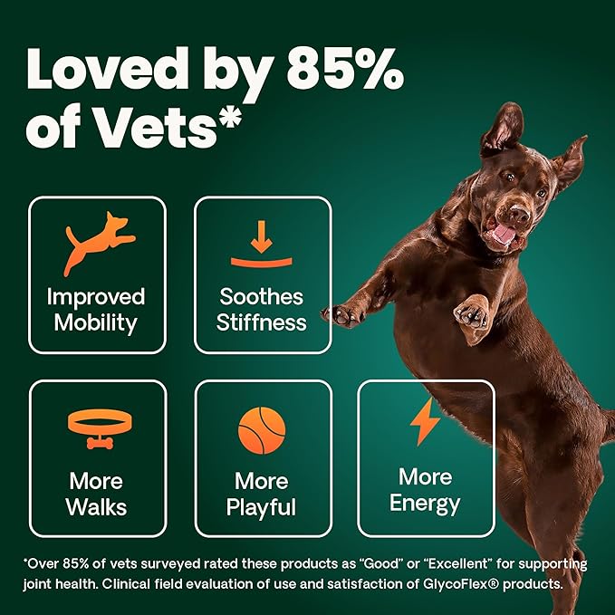 VetriScience Extra Strength Healthy Hip & Joint Chews, GlycoFlex Glucosamine and Green-Lipped Mussel Joint Support Supplement for Dogs, Chicken, 60 Count (Pack of 2)