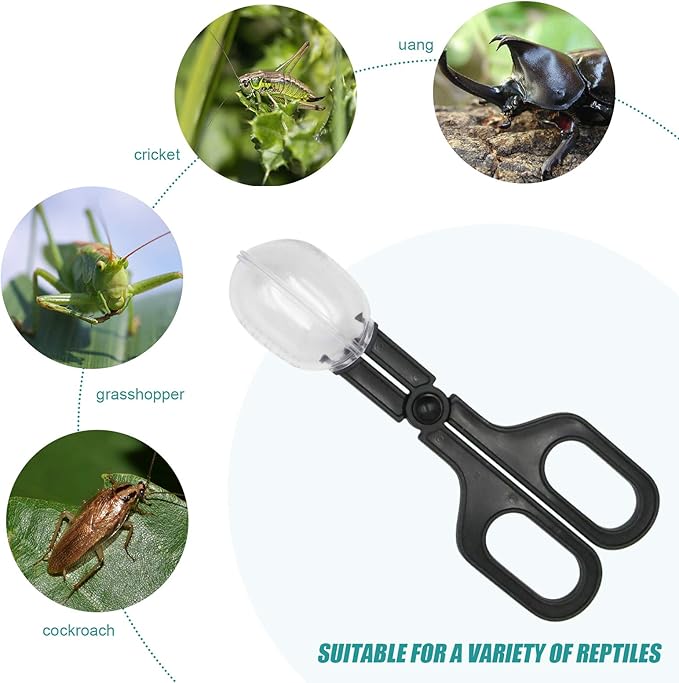 2Pcs Stainless Steel Feeding Tongs, Reptile Feeding Tweezers Long Handle Feeder Tools, Bug Feeding Clamp Cricket Tongs for Fish Aquariums, Reptiles Snakes Lizard Gecko Spider and Bird (Set 1)