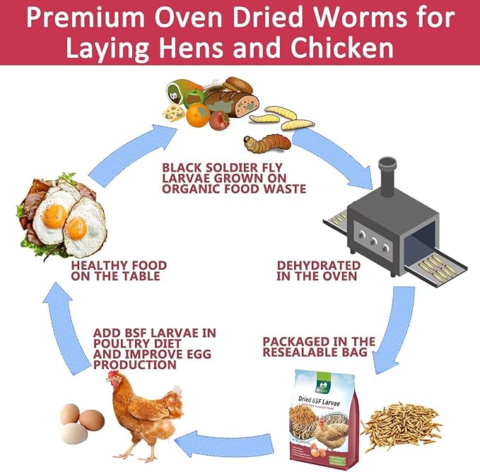 5LB Dried Black Soldier Fly Larvae for Chickens Bulk, Non GMO 86X High Calcium Grubs Than Meal Worms for Laying Hens,100% Natural BSF Larvae for Chicken Worms Wild Bird Treats, Protein Chickens Feed
