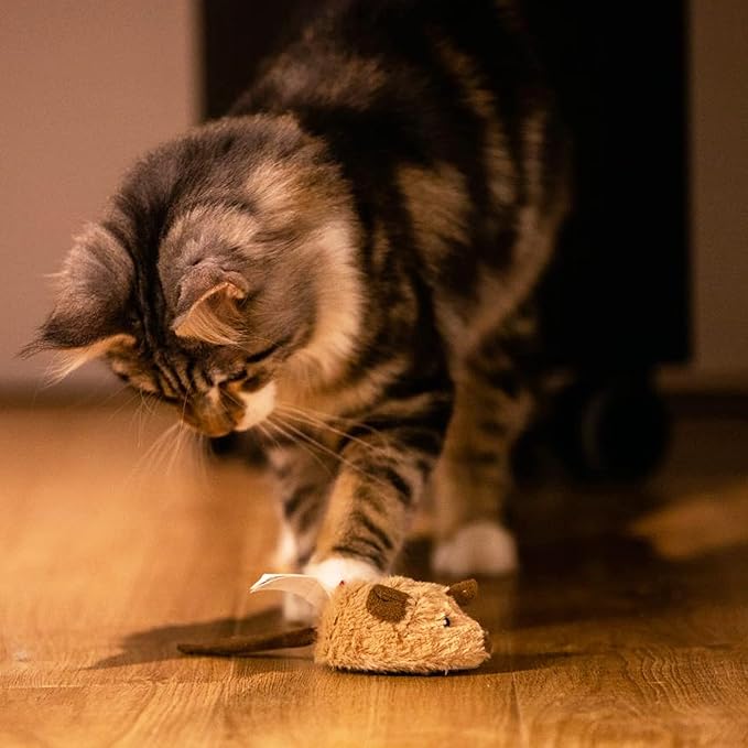 Gigwi Interactive Moving Mouse Cat Toy with Realistic Squeaky Sound, Automatic Mouse Toys for Indoor Cats, Electronic Mouse Toy for Self Play & Exercise(Brown Ear)