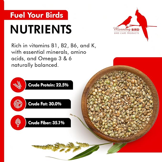 Morning Bird Hemp Seeds 9 lbs– High in Natural Protein, Healthy Fats, Omega 3 and 6 Fatty Acids, Delicious Natural Flavor, Supports Feather Growth & Overall Health