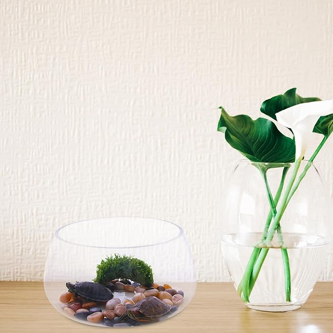 BESPORTBLE Thickened Round Glass Turtle Bowl Fish Tank 20l Simple Hydroponic Plant Aquarium Terrarium for Home Desktop Aquatic Pets