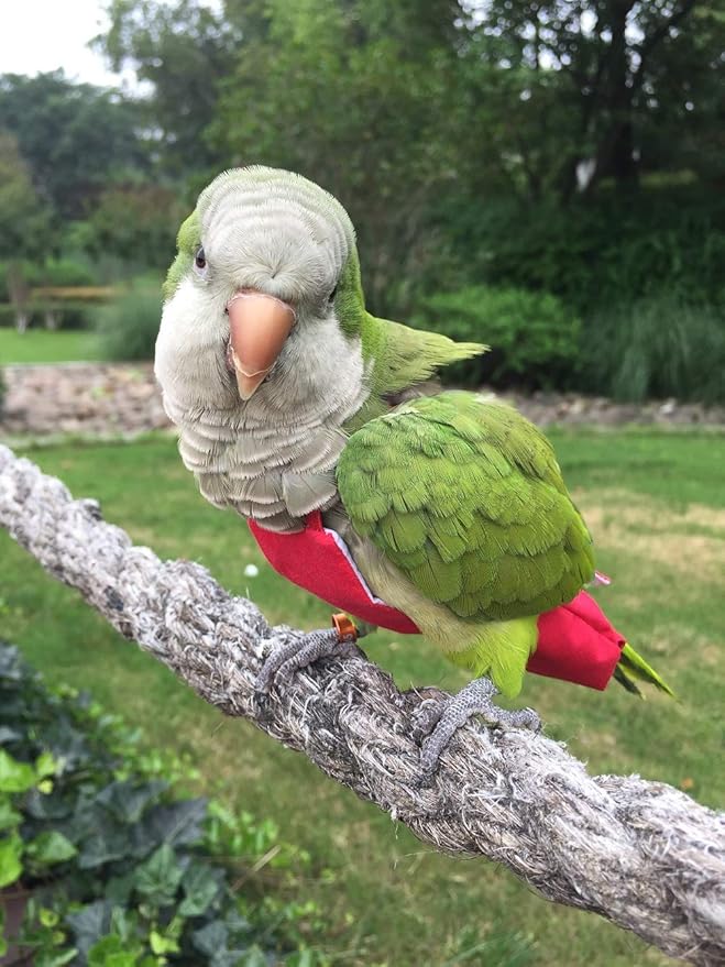 Parrot Diaper Bird Flight Suit, Bird Clothes, Waterproof Lining Pet Bird Supplies (S, Red)