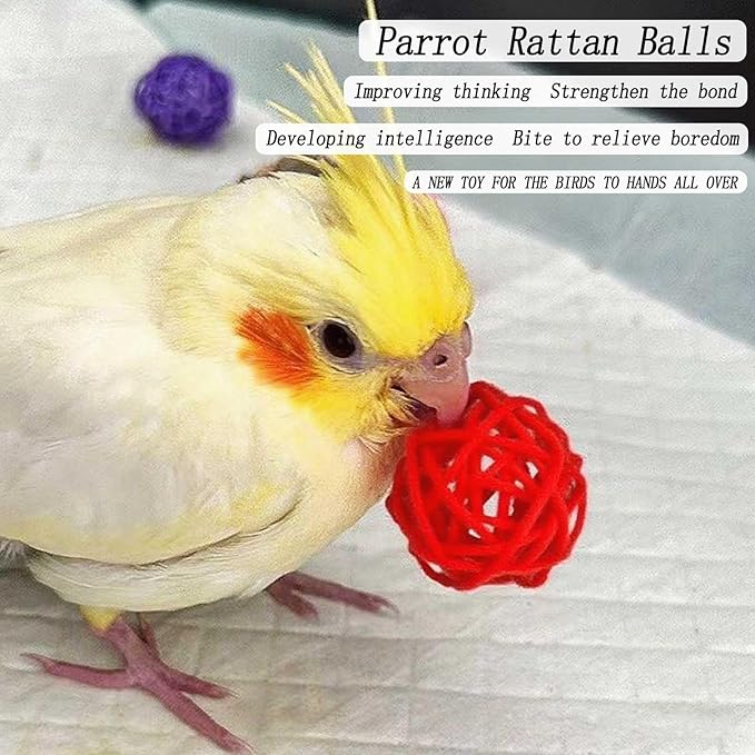 2 Pcs Stainless Steel Bird Food Water Bowls, Parrot Feeding Dish Cups with Clamp Holder Bird Ball Toys for Chinchilla, Cockatiel, Conure, Budgies, Parakeet, Lovebird, Small Animals (Small+Medium)