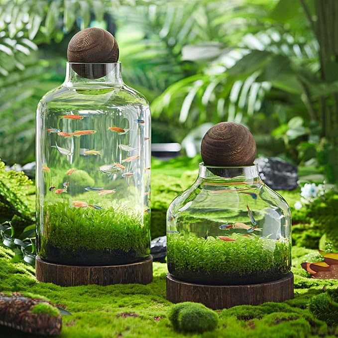Ecological Aquarium Glass Fish Tank with Wooden Base Micro Landscape Self-circulating Hydroponic Plant Bottle Fish Bowl/Vase(S, A)