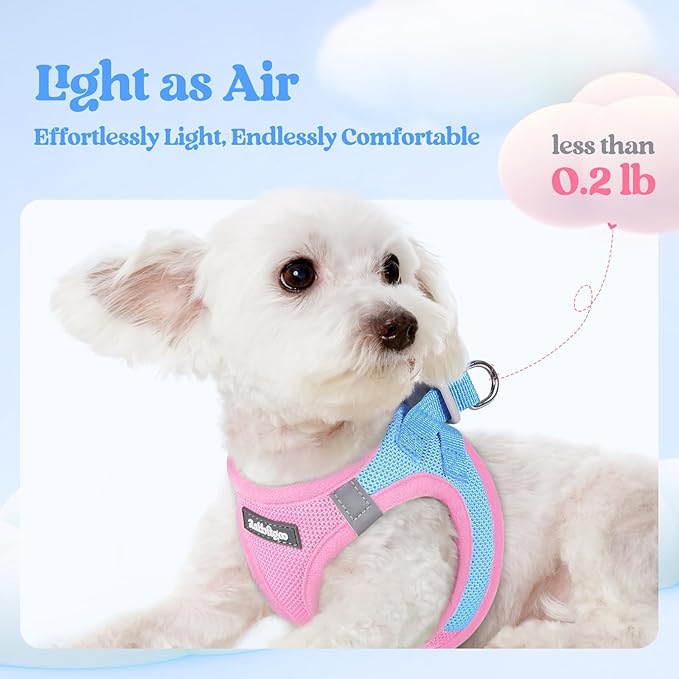 rabbitgoo Dog Harness Small Medium Sized and Leash Set, Step in Soft Light Puppy Vest, Breathable Mesh Pet Harness, Reflective for Safe Easy Walking, Blue & Light Pink XL