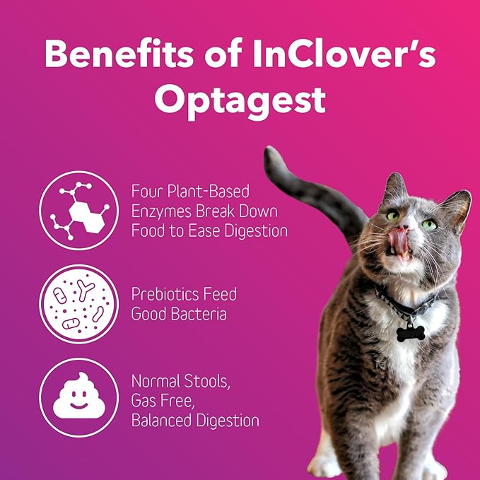 InClover Optagest Natural Digestive Aid, Organic Prebiotics & Enzymes Supplement Powder for Dogs and Cats - Promotes Healthy Stools, Less Gas, Optimal Nutrient Absorption, Intestinal Balance, 7 sticks