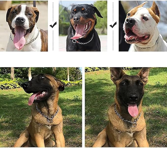 Chain Choke Collar for Dogs, Metal Slip Link Training Heavy Duty Dog Collar Martingale Puppy Collars for XXS XS Small Medium Large Big XL Breed Dogs (Silver, S(Neck Max 16inch) D2.5mm)