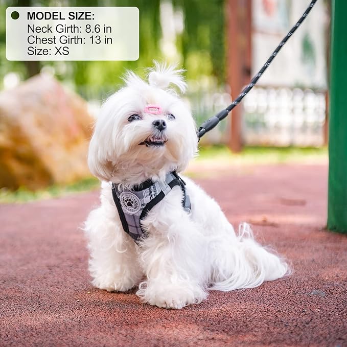 BEAUTYZOO Small Dog Harness and Leash Set,Step in No Choke No Pull Soft Mesh Dog Harnesses Reflective for Extra-Small Medium Puppy Dogs and Cats, Plaid Dog Vest Harness for XS S Pets, Grey S