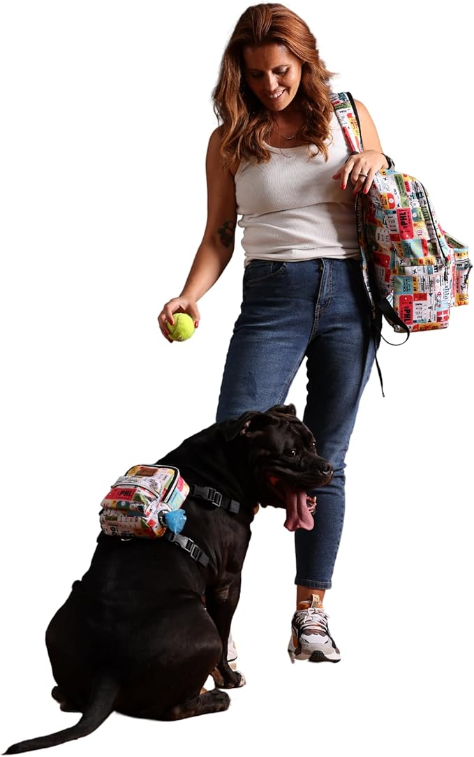 Pawlook Dog Backpack Harness – Street Smart | Waterproof, Adjustable, Breathable – Leash Attachment D-Rings, Poop Bag Pocket – Small & Medium Dogs – 8 Styles Traveller Medium